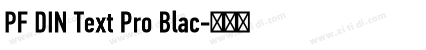 PF DIN Text Pro Blac字体转换